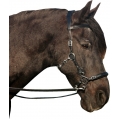 Calli Love Hackamore Bitless Bridle And Reins